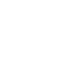 Lemon house icon